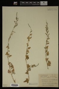 Image Associated With the Occurrence