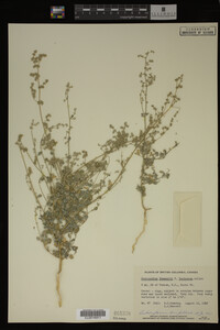 Image Associated With the Occurrence
