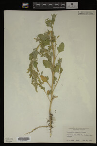 Image Associated With the Occurrence
