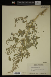 Image Associated With the Occurrence