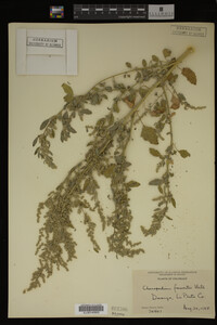 Image Associated With the Occurrence