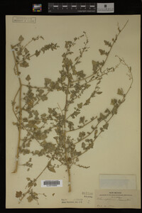 Image Associated With the Occurrence