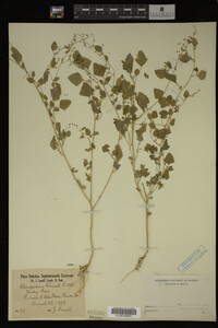 Image Associated With the Occurrence