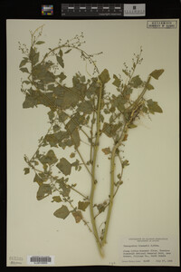 Image Associated With the Occurrence