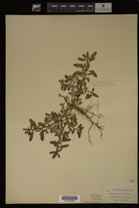 Image Associated With the Occurrence
