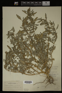 Image Associated With the Occurrence