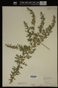 Image Associated With the Occurrence