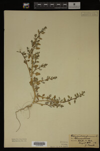 Image Associated With the Occurrence
