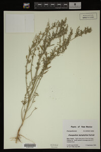 Image Associated With the Occurrence