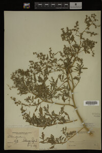 Image Associated With the Occurrence