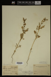 Image Associated With the Occurrence