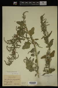 Image Associated With the Occurrence