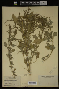 Image Associated With the Occurrence