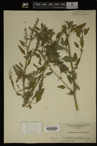 Image Associated With the Occurrence