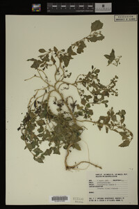 Image Associated With the Occurrence