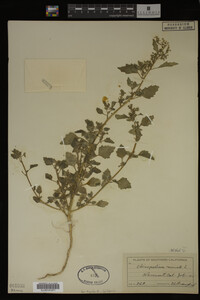 Image Associated With the Occurrence