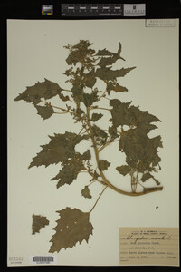 Image Associated With the Occurrence