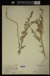 Image Associated With the Occurrence