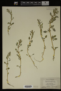 Image Associated With the Occurrence
