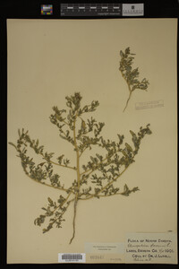 Image Associated With the Occurrence