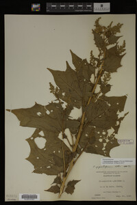 Image Associated With the Occurrence