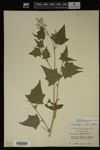 Image Associated With the Occurrence