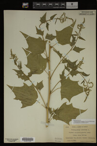 Image Associated With the Occurrence