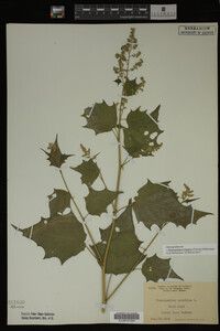 Image Associated With the Occurrence