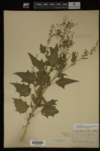 Image Associated With the Occurrence
