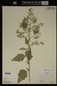 Image Associated With the Occurrence