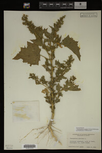 Image Associated With the Occurrence