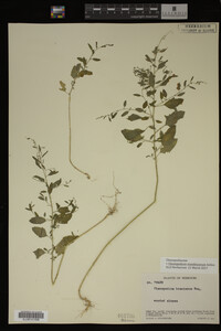 Image Associated With the Occurrence