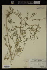 Image Associated With the Occurrence