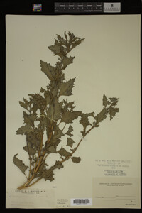 Image Associated With the Occurrence