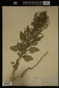 Image Associated With the Occurrence