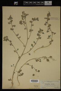 Image Associated With the Occurrence