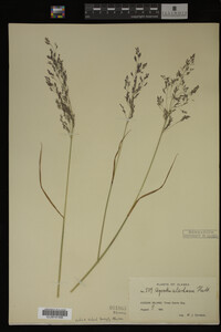 Image Associated With the Occurrence