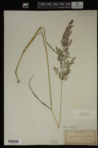 Image Associated With the Occurrence