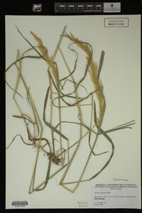 Image Associated With the Occurrence