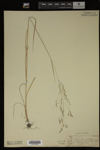 Image Associated With the Occurrence
