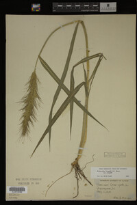 Image Associated With the Occurrence