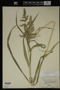 Image Associated With the Occurrence