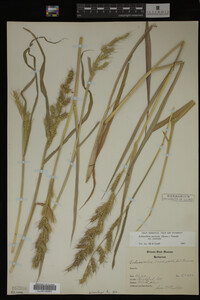 Image Associated With the Occurrence