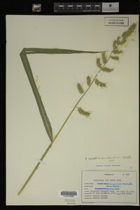 Image Associated With the Occurrence