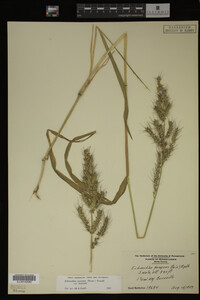 Image Associated With the Occurrence