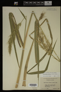 Image Associated With the Occurrence