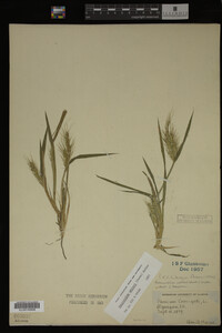 Image Associated With the Occurrence