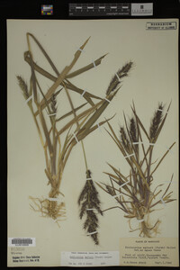 Image Associated With the Occurrence