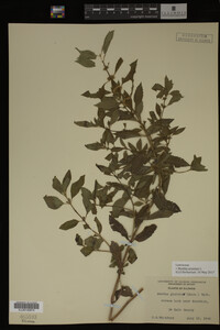 Image Associated With the Occurrence