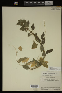 Image Associated With the Occurrence